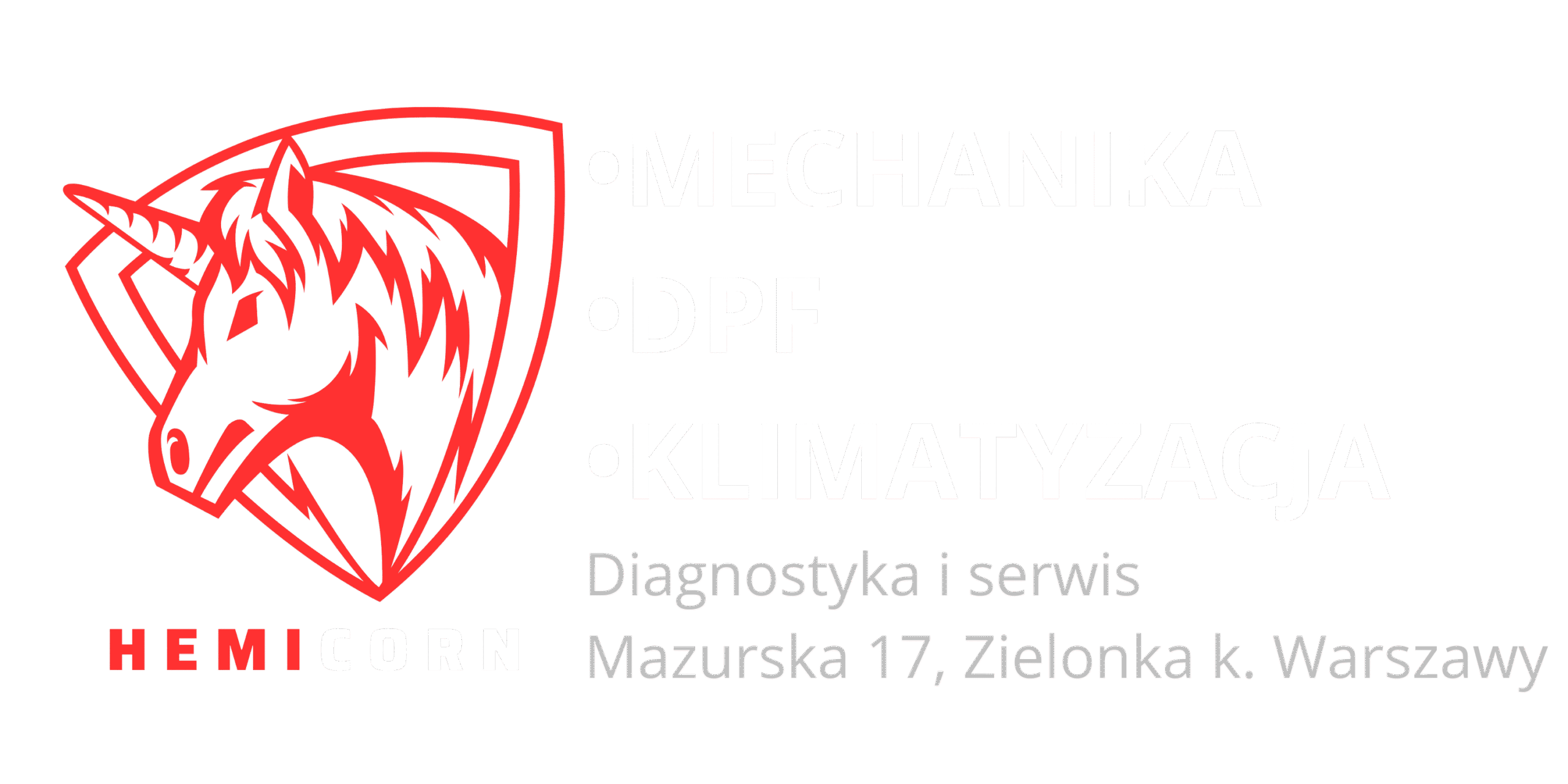 Hemicorn – O klimatyzacji samochodowej i filtrach DPF wiemy wszystko