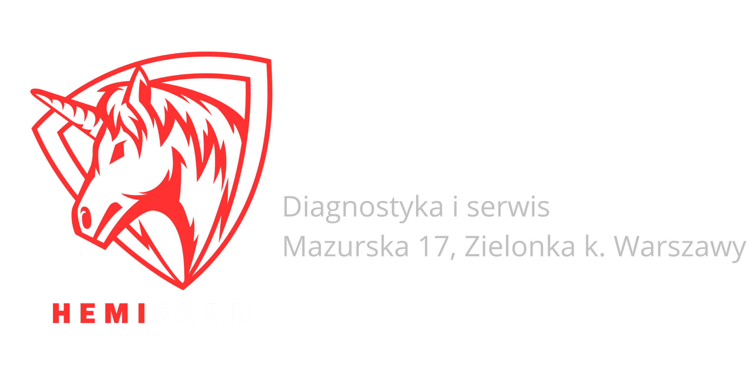 Hemicorn – O klimatyzacji samochodowej i filtrach DPF wiemy wszystko